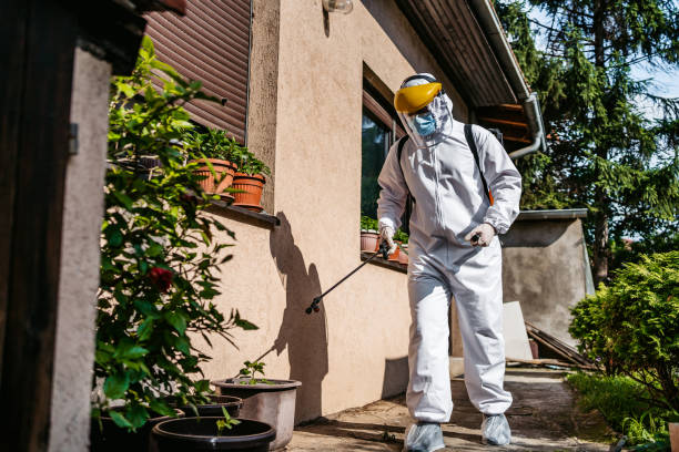 Best Bed Bug Extermination  in Brogden, NC